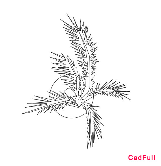 PLANT_19